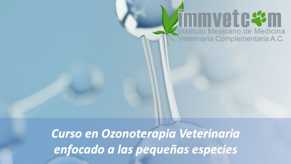 CURSO DE OZONOTERAPIA EN L\u00cdNEA para peque\u00f1as especies - Instituto ...